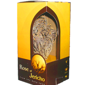The Ultimate Guide to Jericho Rose